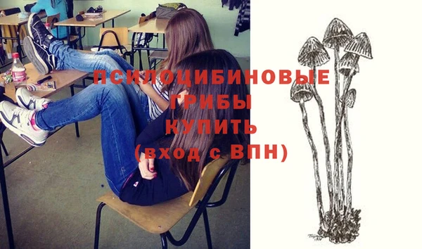стаф Алзамай