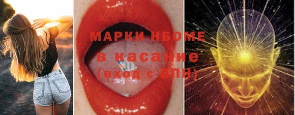 стаф Алзамай