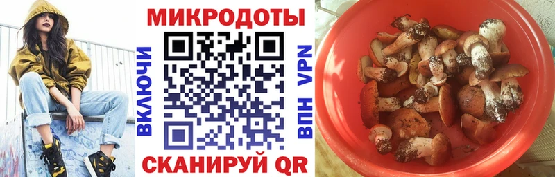 цены наркотик Новочеркасск Псилоцибиновые грибы прущие грибы