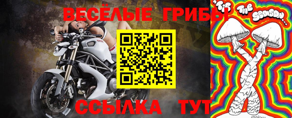 сколько стоит  Псилоцибиновые грибы Cubensis  Вход с VPN  Галлюциногенные грибы Psilocybe  Новочеркасск 